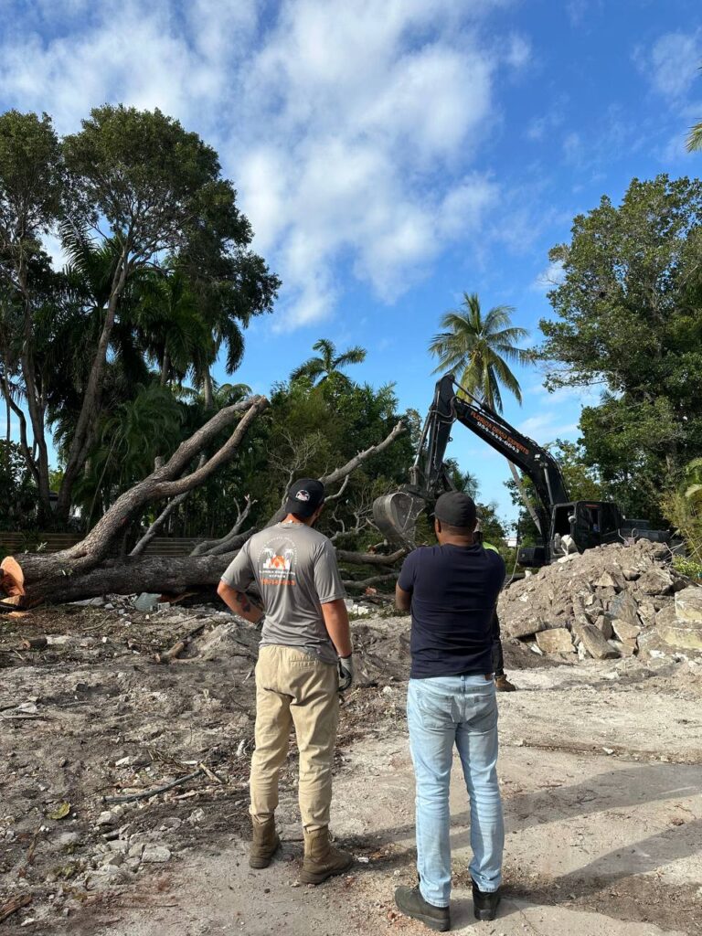 photo_4949968930290643626_y